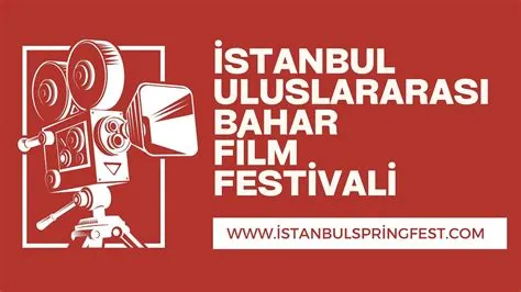 2017年のイスタンブール国際映画祭における「ゼキ・ドゥルマズ」の受賞劇、トルコの映画界への影響と世界への挑戦